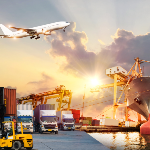 Programme in Freight Forwarding
