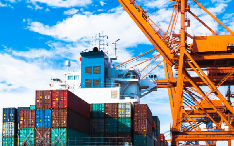 Programme-In-Port-And-Terminal-Management-600x600